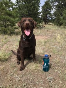 IMG_0010 water bottle