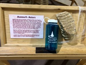 IMG_0487 water bottle