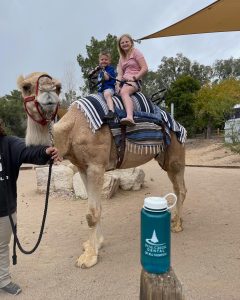 481311927-327989649_3414674518744352_1039355974939563728_n