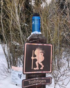 481311968-333951469_528596032713181_4811166025560585308_n