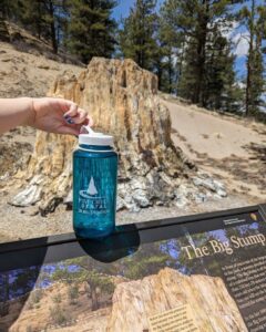 355129766_841860497540850_2155379200567656963_n water bottle